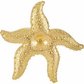 Starfish Brooch for Pearl